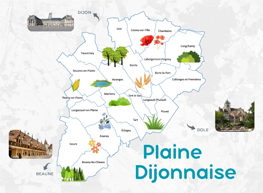carte plaine dijonnaise